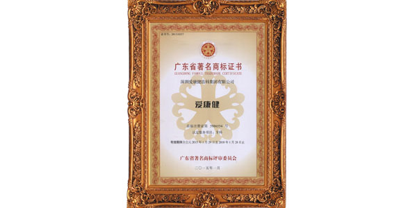 爱康健2015年