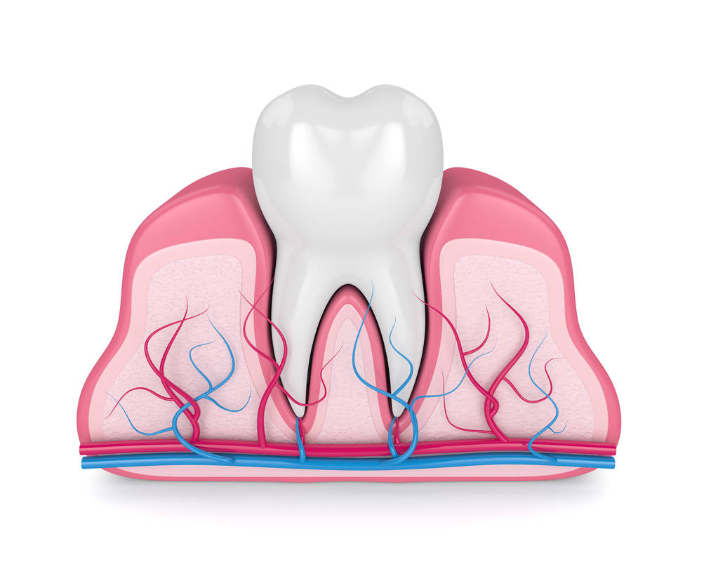 牙根疼痛有什么办法可以治疗